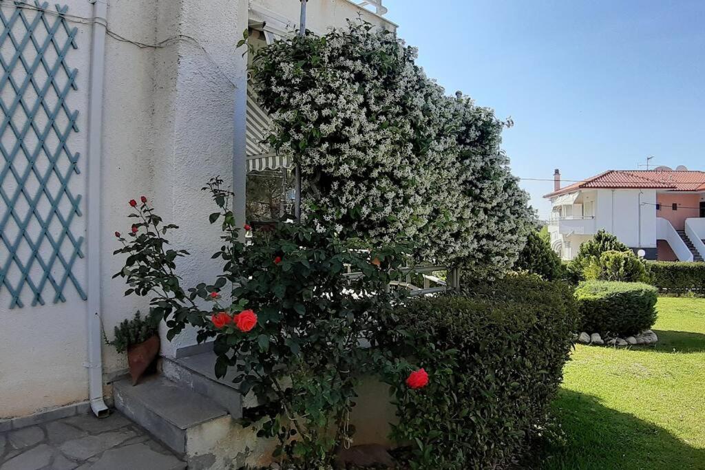 Kleo House Kalives Polygyros Halkidiki Villa Kalyves Polygyrou Exterior photo